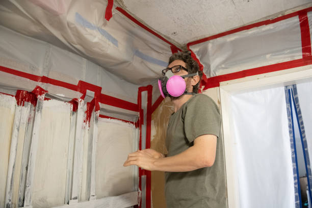 Mold Remediation for Vacation Homes in Shorewood, MN