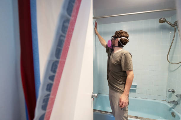 Best Industrial Mold Remediation  in Shorewood, MN