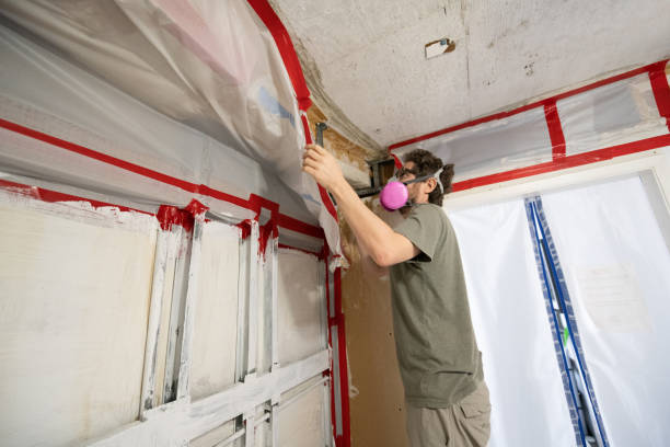Best Crawl Space Mold Remediation  in Shorewood, MN