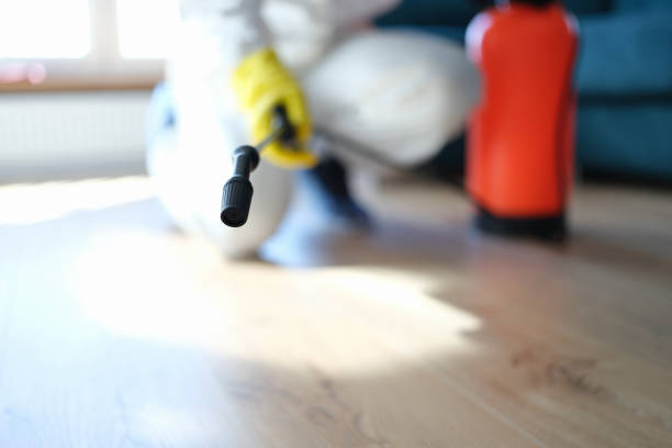 Best Post-Remediation Verification Testing  in Shorewood, MN
