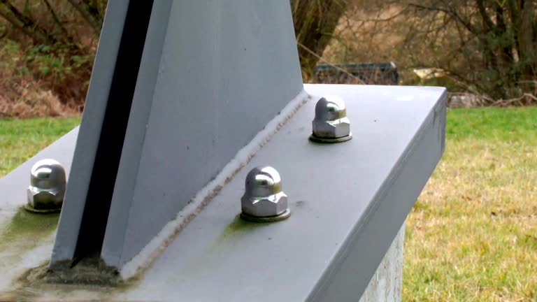 Best Asbestos and Lead Testing During Mold Inspection  in Shorewood, MN